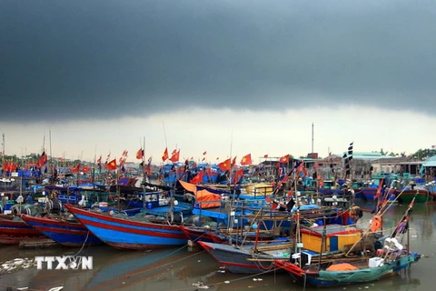 Tàu cá neo đậu tại khu vực cảng cá Ngọc Hải, quận Đồ Sơn (Hải Phòng). (Ảnh: An Đăng/TTXVN)