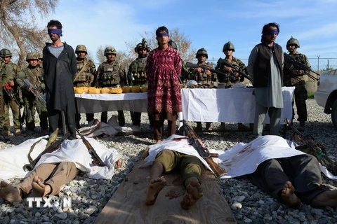 Lực lượng an ninh Afghanistan gác bên thi thể các tay súng Taliban ở Jalalabad ngày 23/5. (Ảnh minh họa: AFP/ TTXVN)
