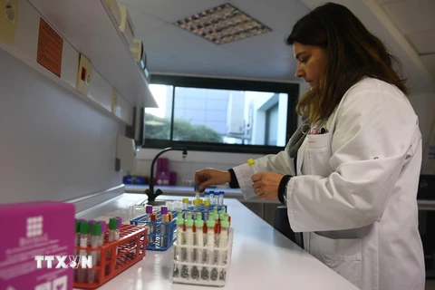 Xét nghiệm các mẫu máu tại phòng thí nghiệm ở Rennes, miền tây Pháp ngày 5/1/2017. (Ảnh minh họa: AFP/TTXVN)