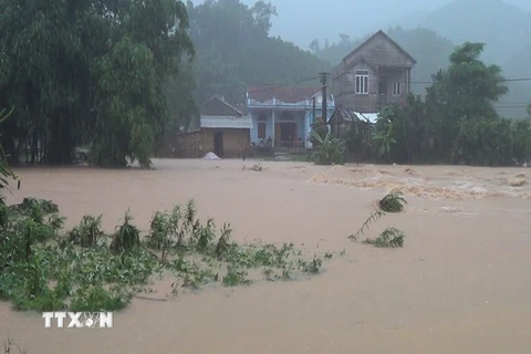Ảnh hưởng của mưa lũ tại huyện Ba Chẽ, Quảng Ninh. (Ảnh: TTXVN phát)