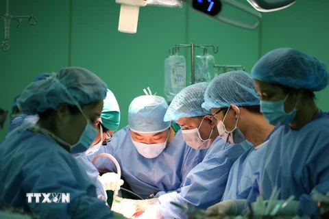 Các bác sỹ Bệnh viện Đại học y dược Thành phố Hồ Chí Minh thực hiện ca ghép gan với sự hỗ trợ của các chuyên gia đến từ bệnh viện ASAN. (Ảnh: TTXVN phát)