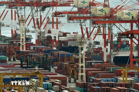 Cảnh bốc dỡ hàng hóa tại cảng Tokyo. (Nguồn: AFP/TTXVN)