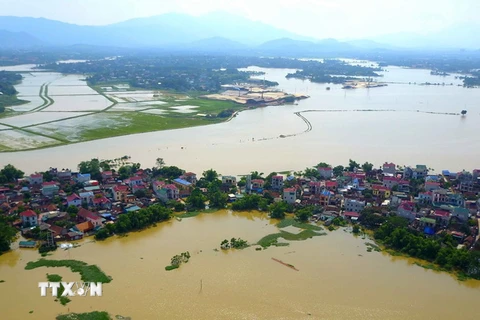 Nhiều nhà dân các xã ven đê của huyện Quốc Oai bi ngập trong nước. (Ảnh: Huy Hùng-Thành Đạt/TTXVN)