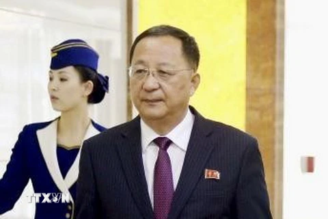 Bộ trưởng Ngoại giao Triều Tiên Ri Yong Ho tại sân bay Bình Nhưỡng trước khi lên đường tới Singapore ngày 2/8. (Ảnh: Kyodo/TTXVN)