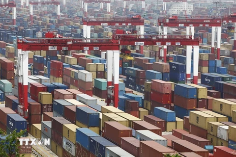 Hàng hóa được xếp tại cảng Dương Sơn ở Thượng Hải, Trung Quốc. (Nguồn: EPA/TTXVN)