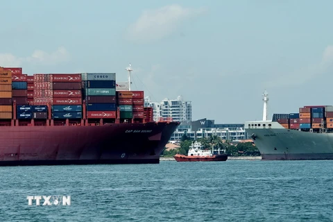 Tàu chở hàng ra vào cảng Singapore. (Nguồn: AFP/TTXVN)