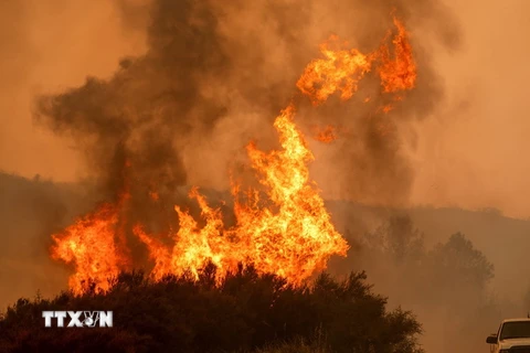Khói lửa bốc lên từ các đám cháy rừng ở California. (Ảnh: AFP/TTXVN)