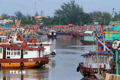 Tàu, thuyền neo đậu tránh bão an toàn tại khu cảng cá Ngọc Hải, Đồ Sơn. (Ảnh: An Đăng/TTXVN)