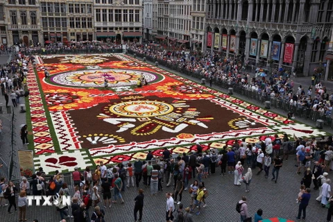 Gần 1 triệu bông thu hải đường đầy màu sắc đã được huy động về quảng trường trung tâm Grand Place ở Brussels, Bỉ để tạo thành tấm thảm hoa khổng lồ.