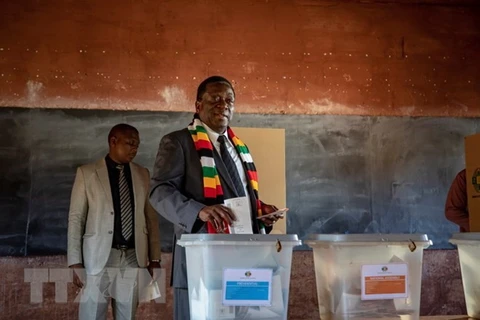 Tổng thống Zimbabwe bỏ phiếu tại điểm bầu cử ở Kwekwe ngày 30/7. (Nguồn: EFE-EPA/TTXVN)