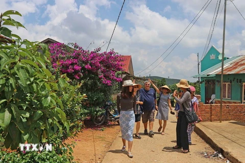 Những buôn làng K'Ho trở thành điểm đến mới lạ với du khách khi tới Lâm Đồng. (Ảnh: Nguyễn Dũng/TTXVN)