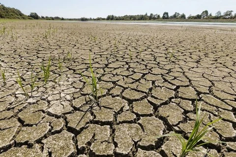 Quang cảnh khô hạn tại miền Nam nước Pháp. (Nguồn: nouvelobs.com)