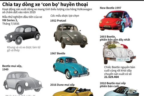 Nhìn lại dòng xe "con bọ" huyền thoại của Volkswagen