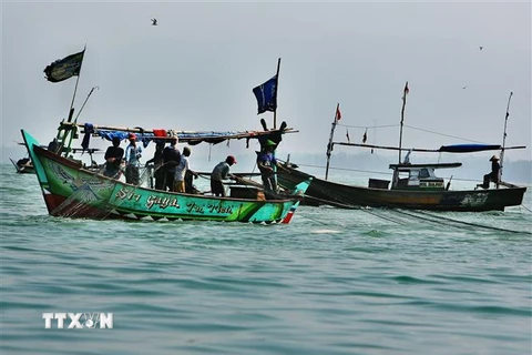 Ngư dân đánh cá trên biển gần Lumpung, đảo Sumatra, Indonesia. (Ảnh: AFP/ TTXVN)