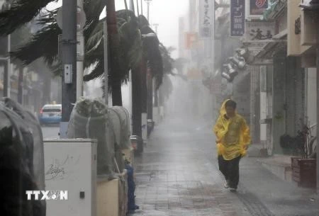 Ngày 29/9, một cơn bão mạnh mang theo mưa lớn và gió giật đã đổ vào miền Nam Nhật Bản, gây đình trệ giao thông hàng không và mất điện cục bộ ở nhiều thành phố. (Ảnh: Kyodo/TTXVN)