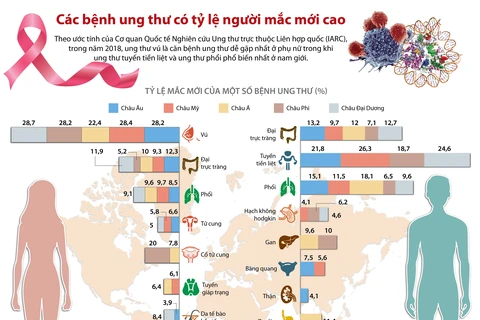 [Infographics] Các bệnh ung thư có tỷ lệ người mắc mới cao
