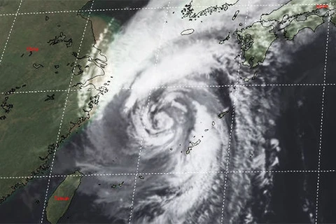 Bão Kong-rey đổ bộ vào Nhật Bản. (Nguồn: JTWC)