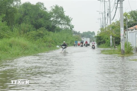 Đường Nguyễn Bình bị ngập sâu trong nước. (Ảnh: Mạnh Linh/TTXVN)