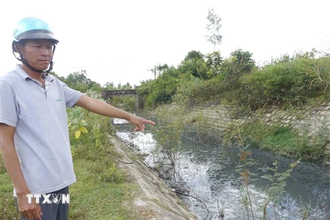 Ông Lương Ngọc Tú, người dân trong khu vực chỉ cho phóng viên khu vực kênh bị ô nhiễm do cụm công nghiệp Cát Trinh xả thải. (Ảnh: Quốc Dũng/TTXVN)