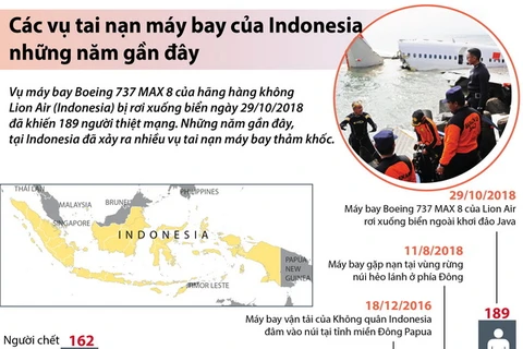 Các vụ tai nạn máy bay của Indonesia những năm gần đây