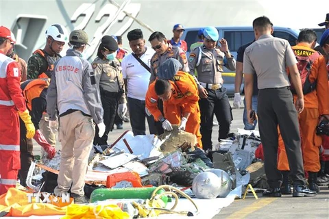Nhân viên cứu hộ Indonesia tham gia chiến dịch tìm kiếm nạn nhân vụ tai nạn máy bay Lion Air JT 610. (Ảnh:THX/TTXVN)