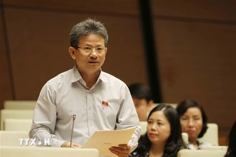 Đại biểu Quốc hội tỉnh Quảng Trị Đỗ Văn Sinh phát biểu. (Ảnh: Phương Hoa/TTXVN)
