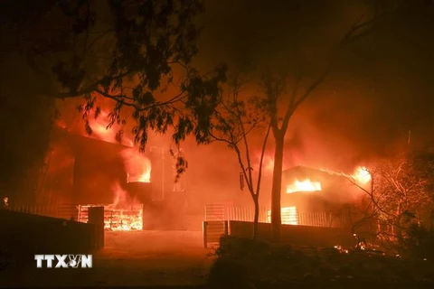 Các đám cháy rừng lan rộng ở Malibu, California ngày 9/11. (Ảnh: THX/TTXVN)
