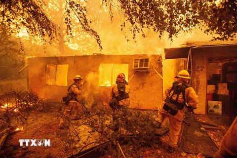 Lực lượng cứu hỏa nỗ lực dập lửa cháy rừng tại Paradise, phía bắc Sacramento, California, Mỹ ngày 9/11/2018. (Ảnh: AFP/ TTXVN)