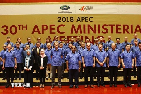 Phó Thủ tướng, Bộ trưởng Ngoại giao Phạm Bình Minh (hàng cuối, thứ 3, từ phải sang) cùng Trưởng đoàn các nền kinh tế thành viên APEC dự Hội nghị AMM 30 chụp ảnh chung. (Ảnh: Khánh Linh/TTXVN)