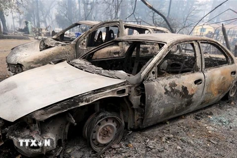 Những chiếc xe bị thiêu rụi do cháy rừng ở Paradise, bang California, Mỹ ngày 13/11/2018. (Ảnh: THX/ TTXVN)