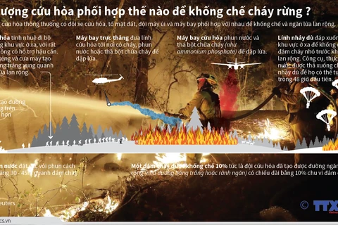 Lực lượng cứu hỏa phối hợp thế nào để khống chế cháy rừng?