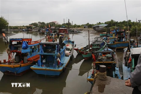 Tàu thuyền đã được kêu gọi về nơi neo đậu an toàn tại xã Long Hòa, huyện Cần Giờ. (Ảnh: Hoàng Hải -TTXVN)