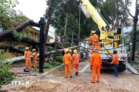 Công nhân điện lực khẩn trươnng khắc phục lưới điện bị hỏng do bão số 9. (Ảnh: Đoàn Mạnh Dương/TTXVN)