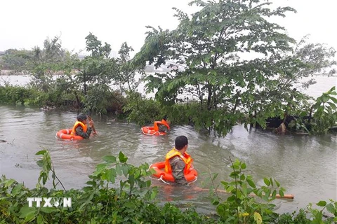 Tìm kiếm thi thể nạn nhân Nguyễn Lữ Vân Anh, bị nước cuốn trôi tối 8/12. (Ảnh: Thanh Thủy/TTXVN)