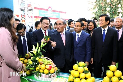 Phó Thủ tướng Vương Đình Huệ và các đồng chí lãnh đạo, nguyên lãnh đạo Đảng, Nhà nước và các đại biểu tham quan gian hàng cam tại lễ hội. (Ảnh: Công Tường/TTXVN)