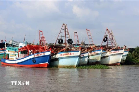 Tàu cá neo đậu tránh trú bão trên sông Cái Bé, xã Bình An, huyện Châu Thành (Kiên Giang). (Ảnh: Lê Huy Hải/TTXVN)
