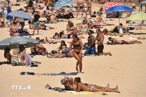 Người dân tránh nóng trên bãi biển ở Sydney, Australia ngày 28/12/2018. (Ảnh: AFP/ TTXVN)