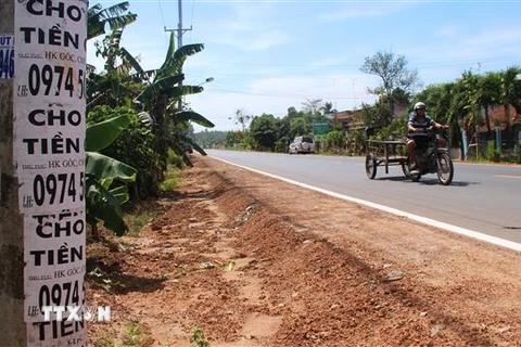 (Ảnh minh họa: Thanh Tân/TTXVN)