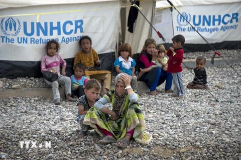 Trẻ em Iraq tại trại tị nạn ở Hammam al-Alil, sau khi phải rời bỏ nhà cửa tránh xung đột ở Tây Mosul. (Ảnh: AFP/ TTXVN)