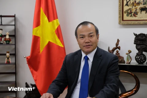Đại sứ Việt Nam tại Nhật Bản Vũ Hồng Nam trả lời phỏng vấn TTXVN (Ảnh: Nguyễn Tuyến/Vietnam+)