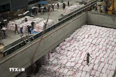 Phân loại gạo tại một nhà máy ở Bangkok, Thái Lan. (Nguồn: AFP/TTXVN)