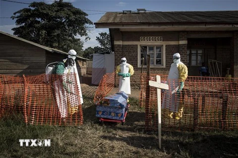 Nhân viên y tế phun thuốc khử trùng xung quanh một quan tài của bệnh nhân nhiễm Ebola tại Beni, CHDC Congo ngày 13/8/2018. (Ảnh: AFP/ TTXVN)