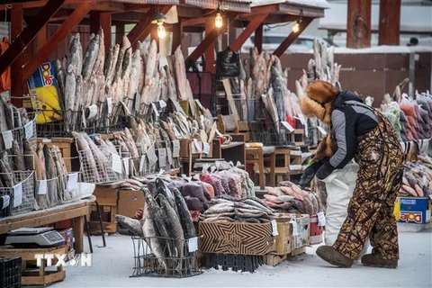 Một chợ cá của nông dân ở thành phố Yakutsk thuộc Siberi, Nga ngày 26/11/2018. (Ảnh: AFP/ TTXVN)