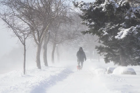 Tuyết phủ dày đặc tại Toronto, Canada, ngày 27/1/2019. (Ảnh: THX/ TTXVN)