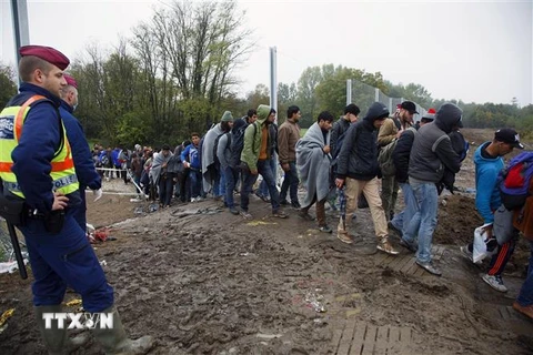 Người di cư băng qua biên giới Hungary-Croatia, gần làng Zakany (Hungary) để tiến về phía bắc. (Ảnh: AFP/TTXVN)