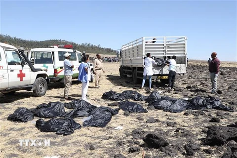 Lực lượng cứu hộ tìm kiếm các nạn nhân vụ máy bay ET 302 của Hãng hàng không Ethiopian Airlines. (Ảnh: AFP/TTXVN)