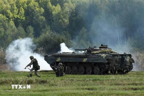 Trong ngành quốc phòng Ukraine đang tồn tại một dạng công ty ma. Ảnh minh họa. (Nguồn: AFP/TTXVN)
