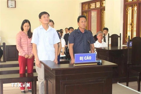 4 bị cáo tại phiên tòa. (Ảnh: Nguyễn Chinh/TTXVN)