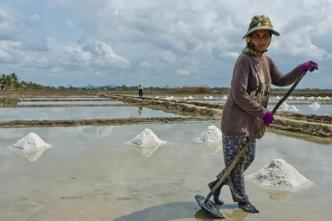 Người phụ nữ làm việc trên cánh đồng muối tại Kampot. (Nguồn: opendevelopmentcambodia.net)