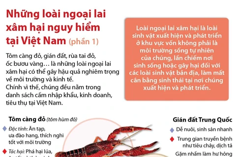 Những loài động vật ngoại lai xâm hại nguy hiểm tại Việt Nam